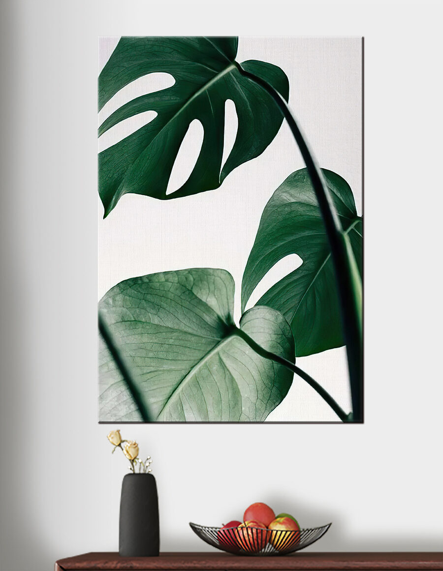 Monstera pe fundal deschis — interior 2