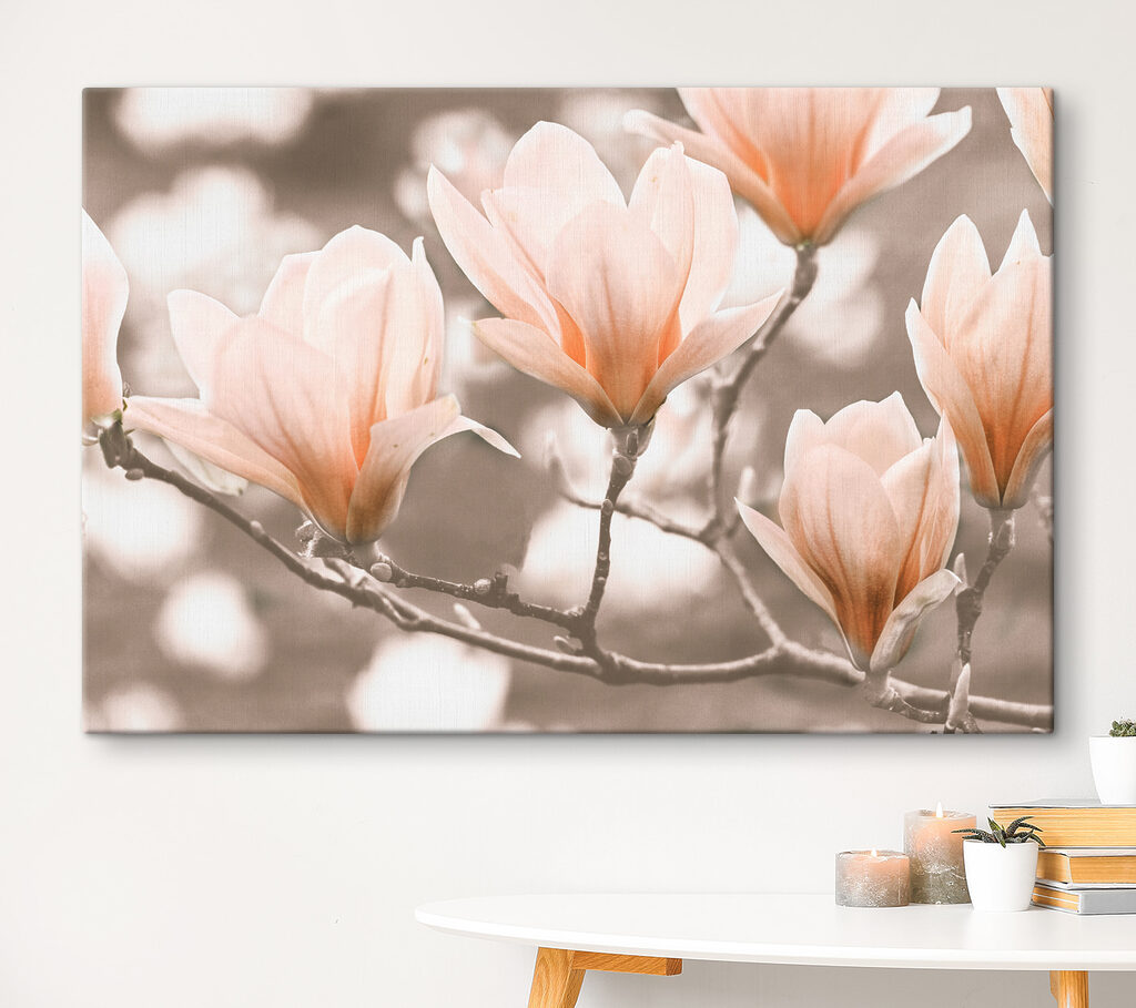 Magnolii pe ramuri — interior 3