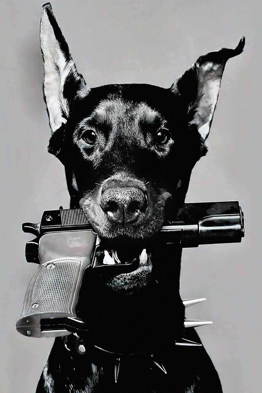 Câine cu pistol — design complet