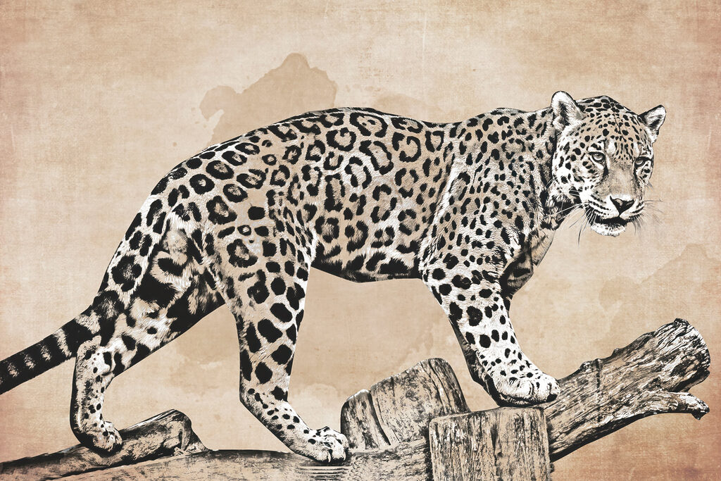 Leopard pe o ramură — design complet