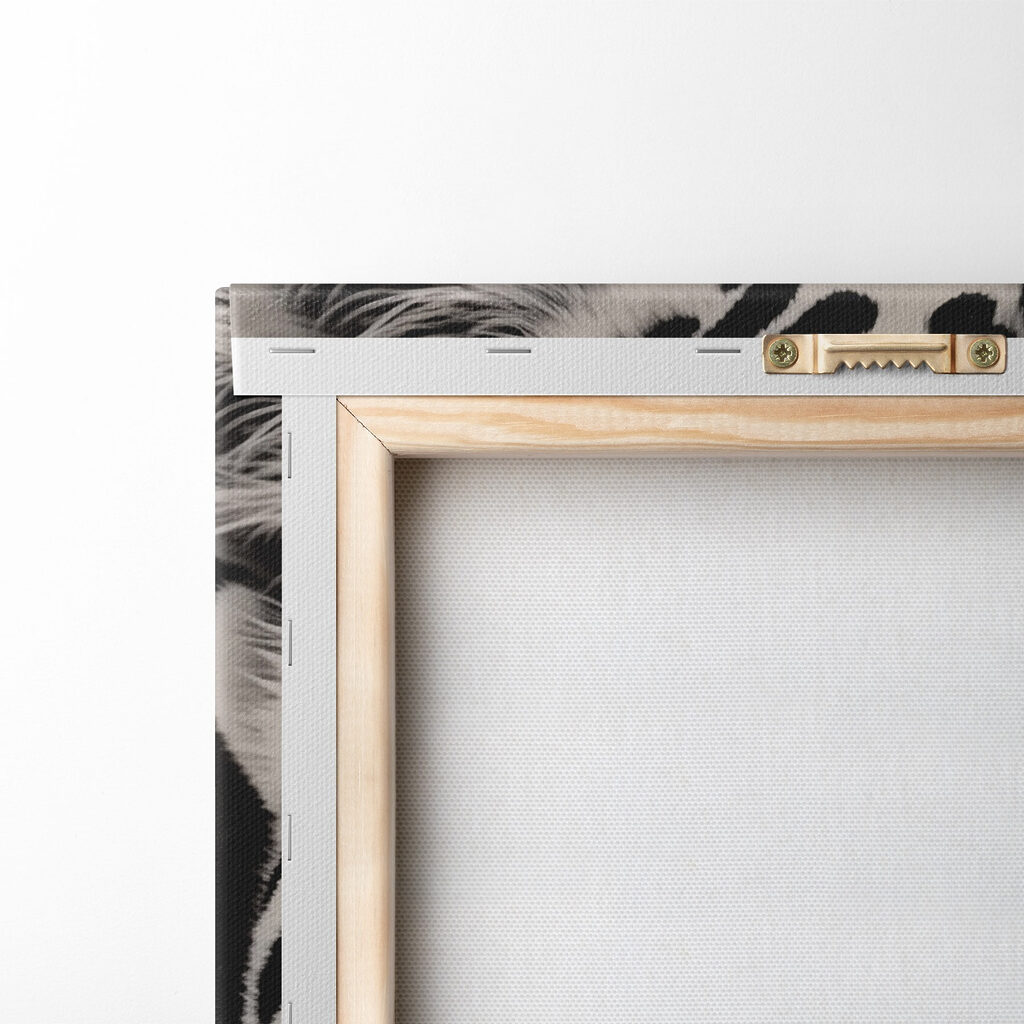 Leopard cu ochi albaștri — verso