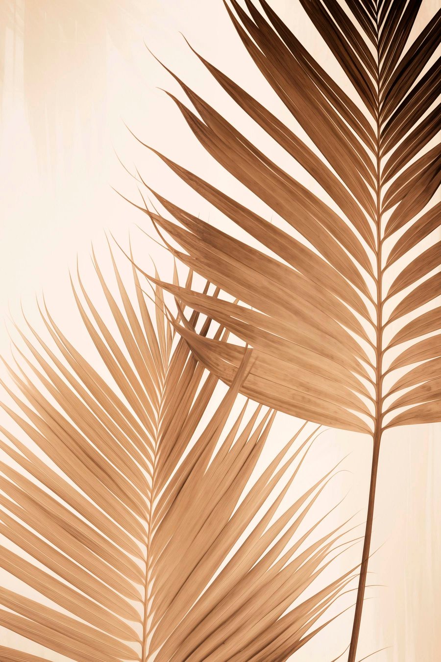 Frunze de palmier maro — design complet