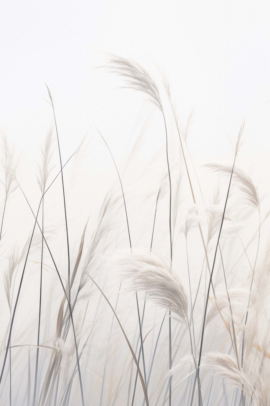Plante pe fundal luminos — design complet