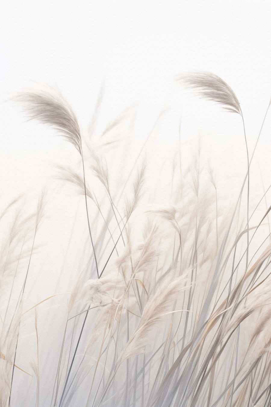 Plante delicate — design complet