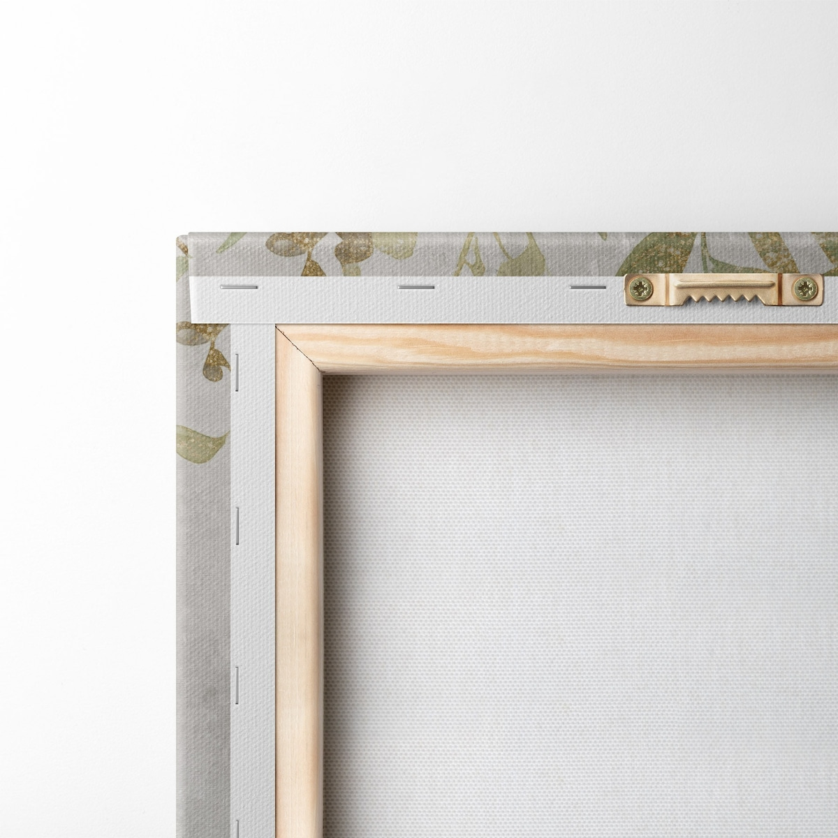 Plante delicate — verso