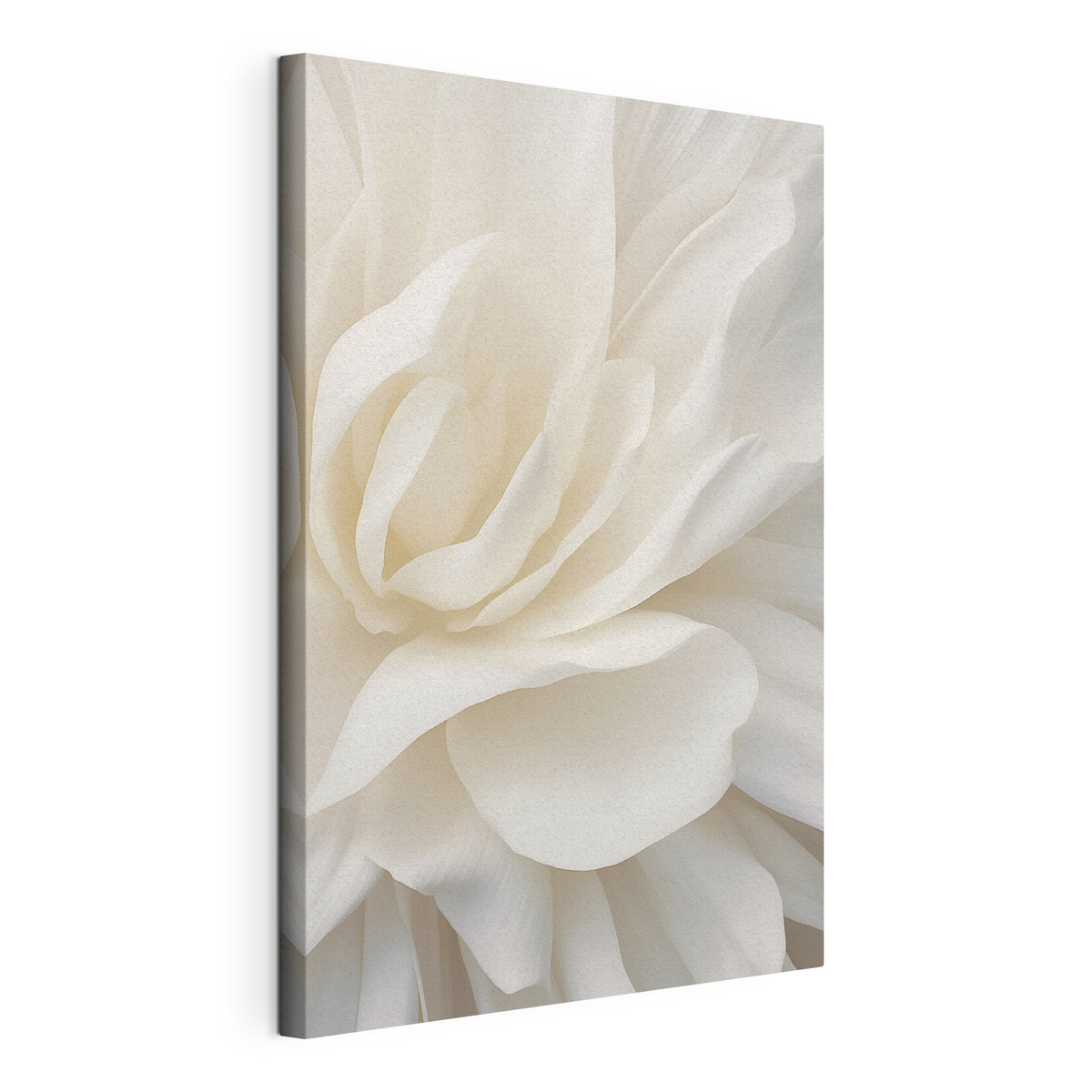 Floare albă abstractă — vizualizare produs