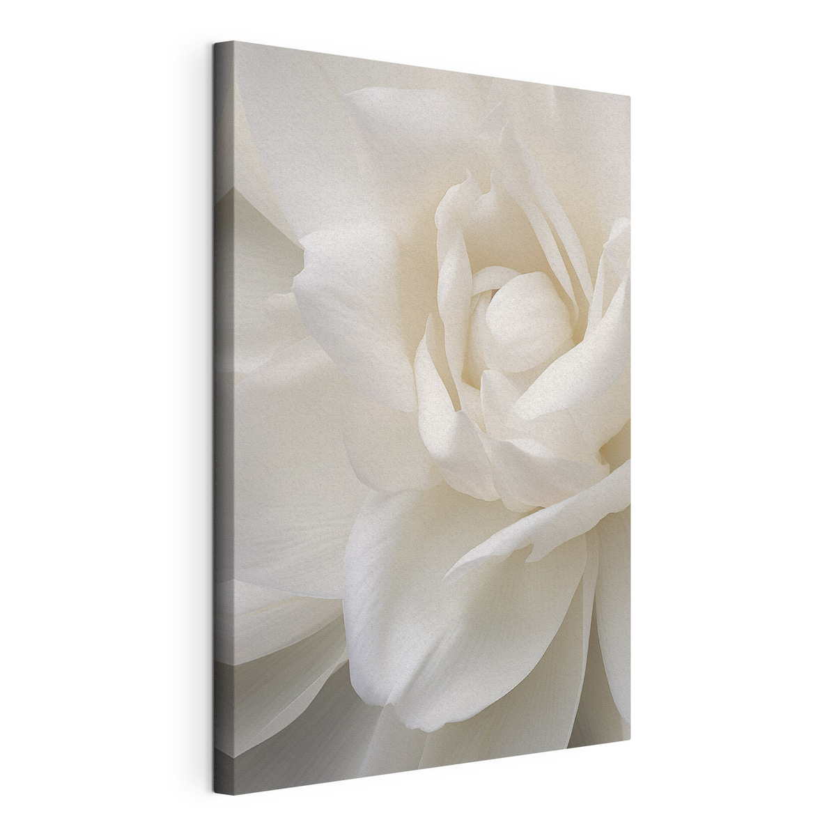 Floare albă abstractă — vizualizare produs