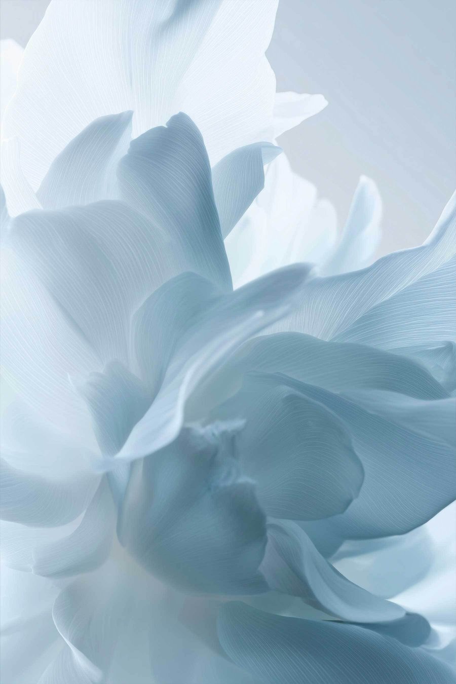 Petale delicate în albastru — design complet