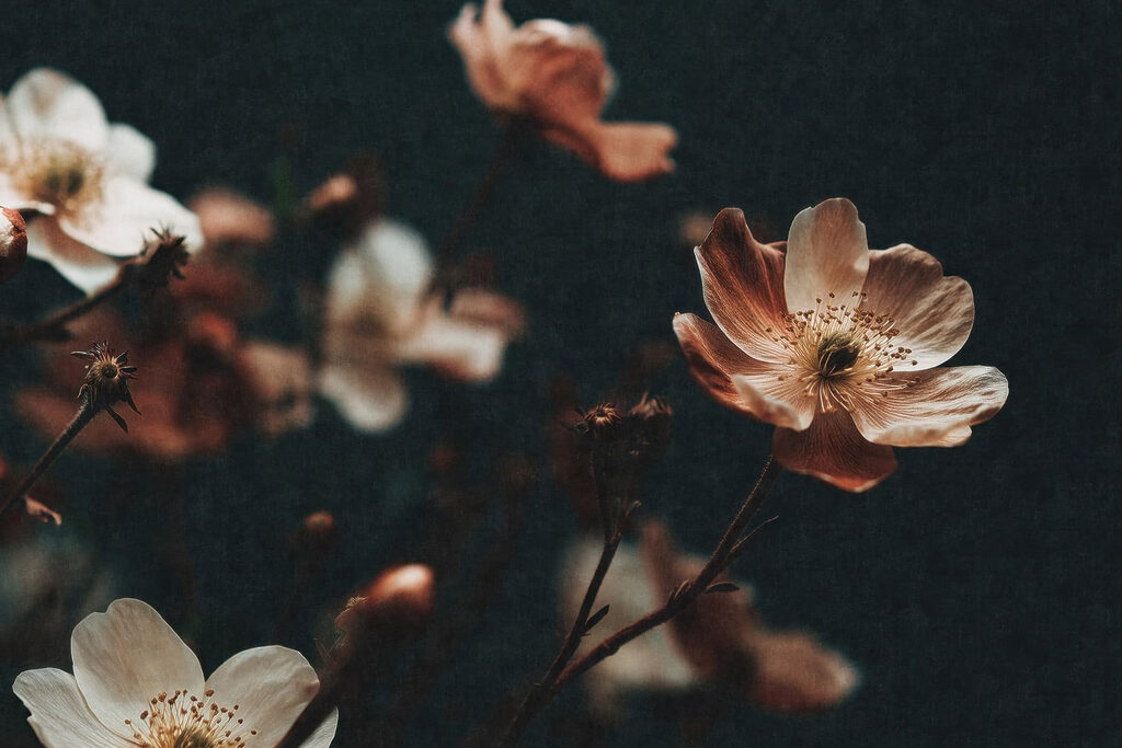 Flori ruginii pe verde — design complet
