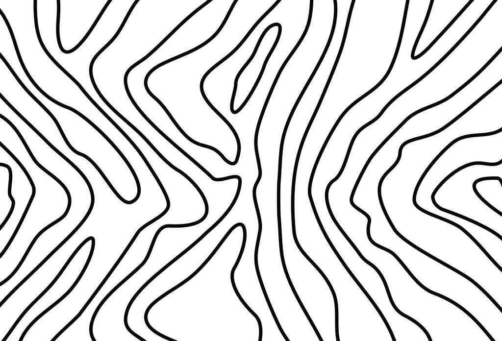 Contururi negre în evantai — design complet