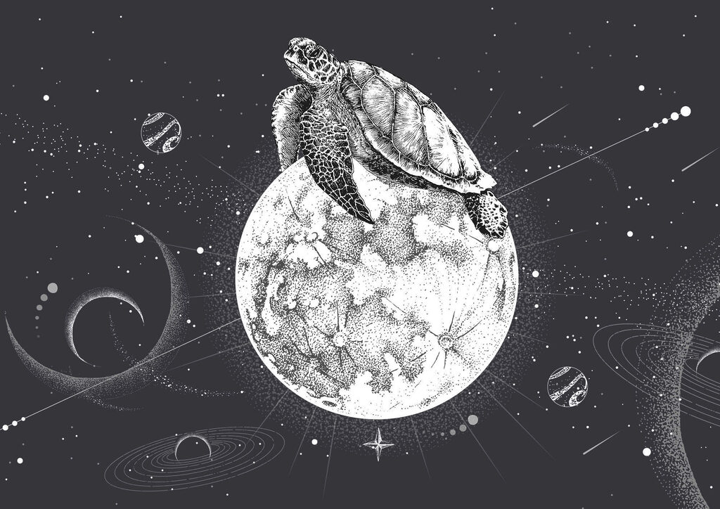 Țestoasă pe o lună — design complet