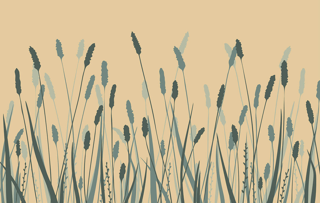 Ierburi și spice — design complet