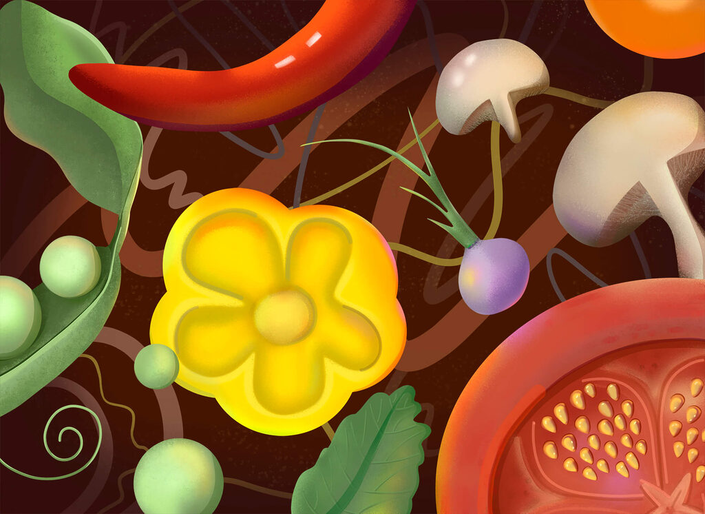 Legume colorate de sus — design complet