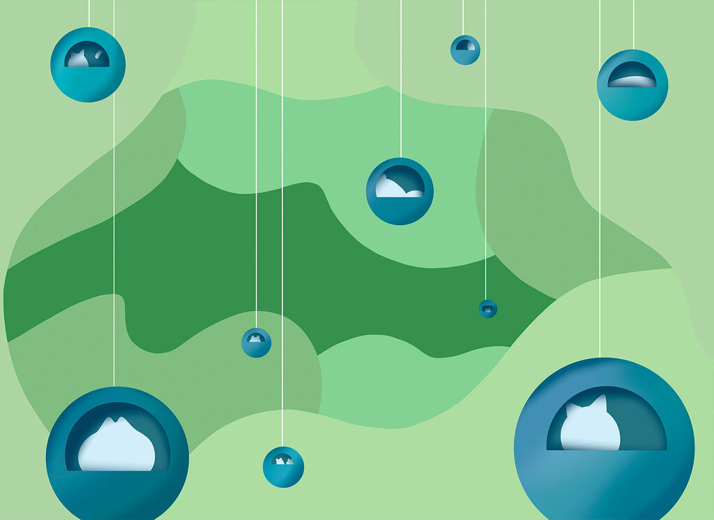 Bile strălucitoare pe verde — design complet