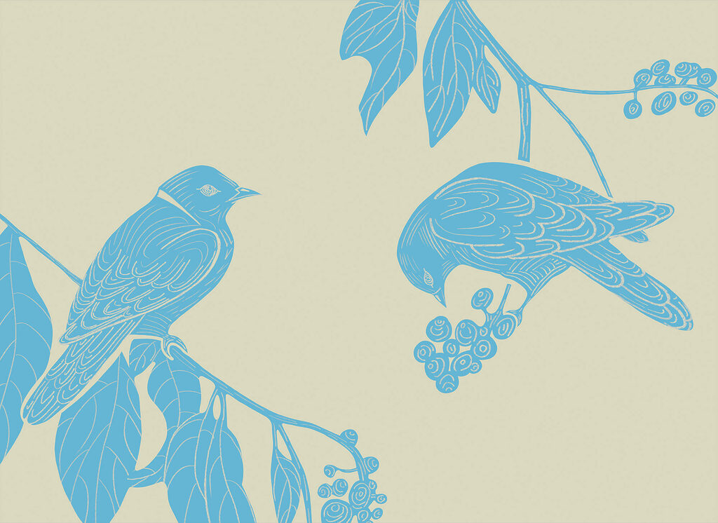 Păsări printre boabe — design complet
