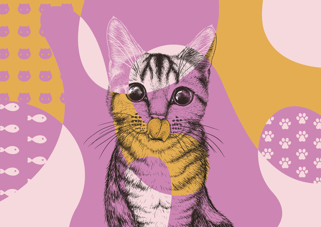 Pisică în forme colorate — design complet