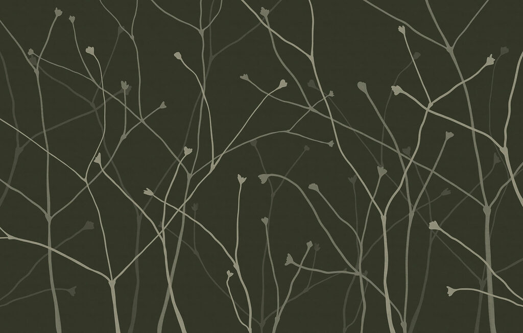 Lăstari fini — design complet