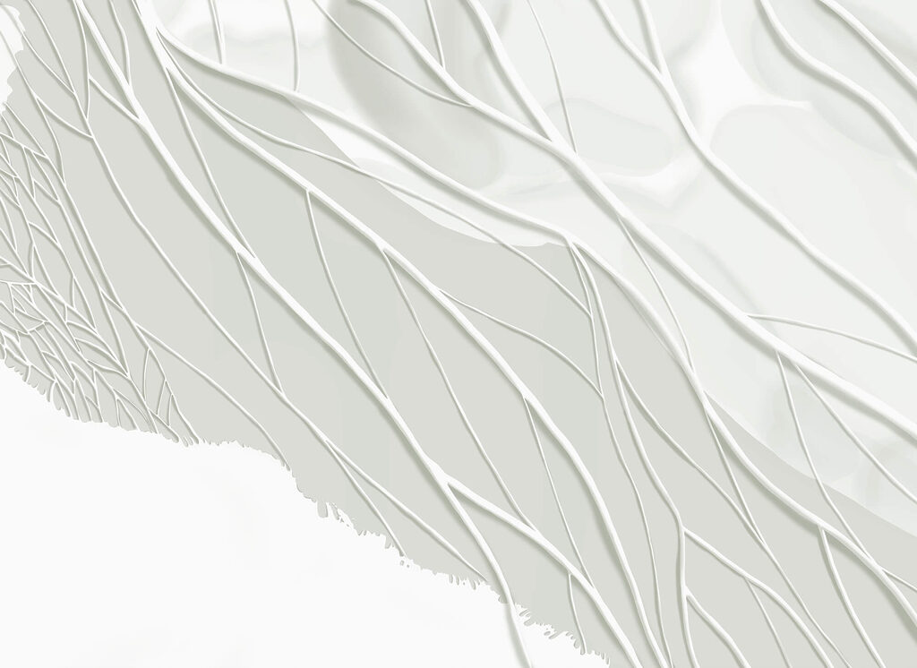 Nervuri în relief — design complet