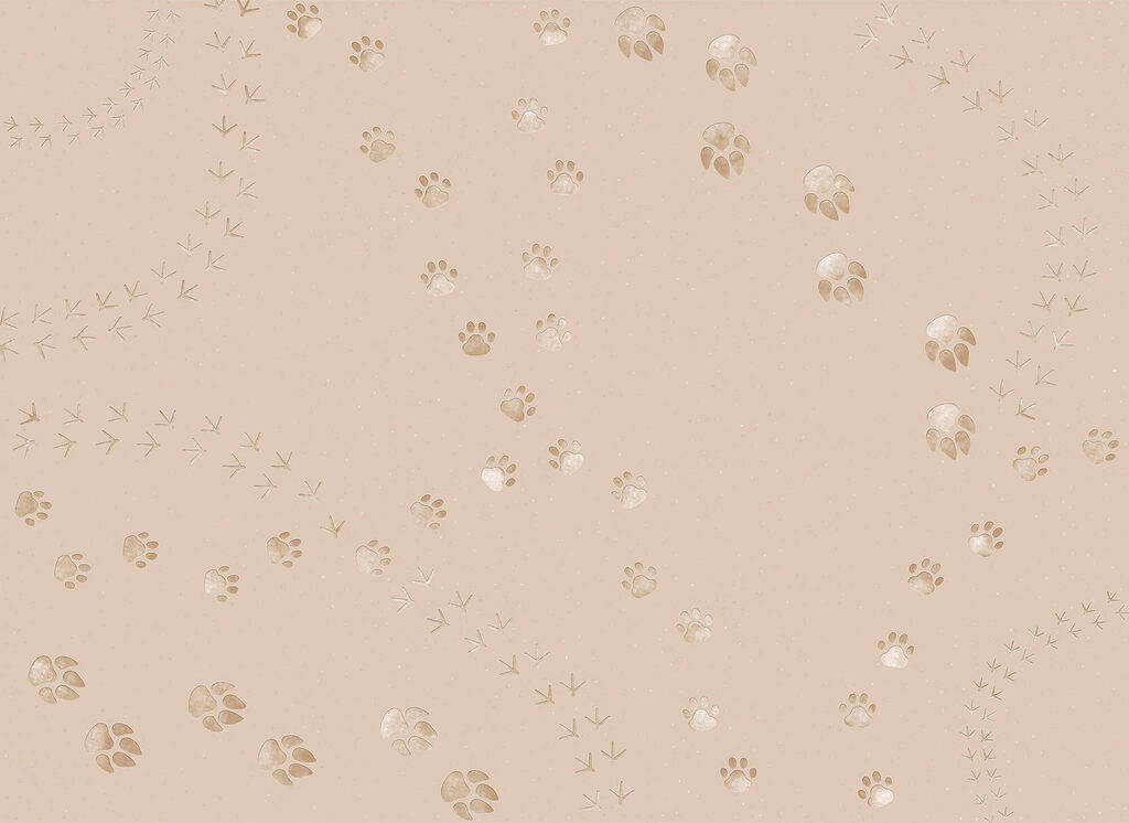 Flori mici pe arcuri — design complet
