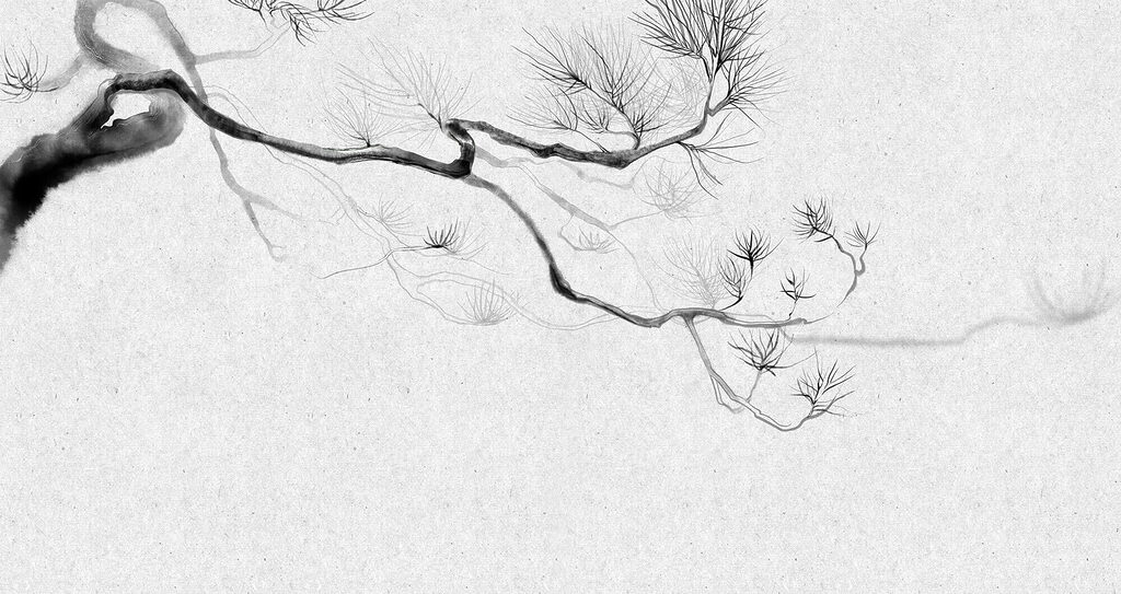 Ramură de conifer — design complet
