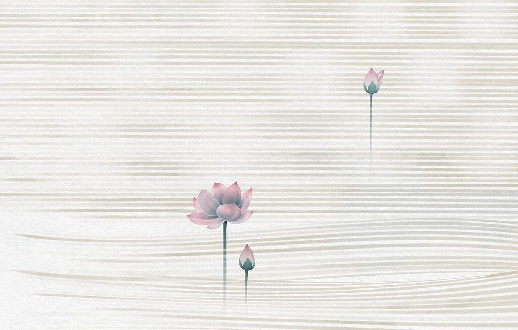 Lotus între linii — design complet