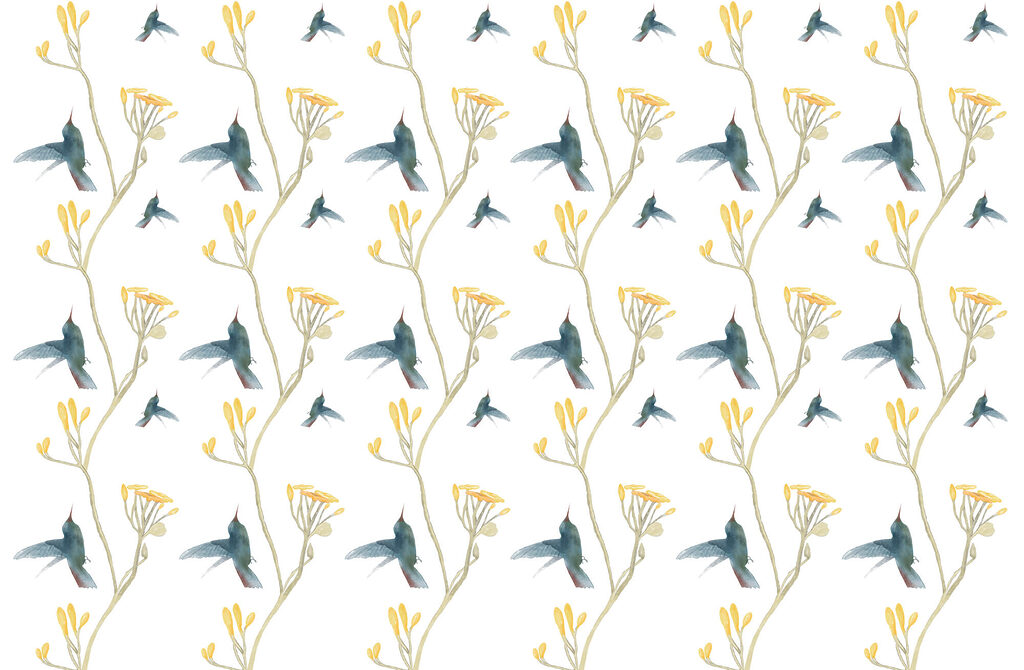 Colibri și flori galbene — design complet