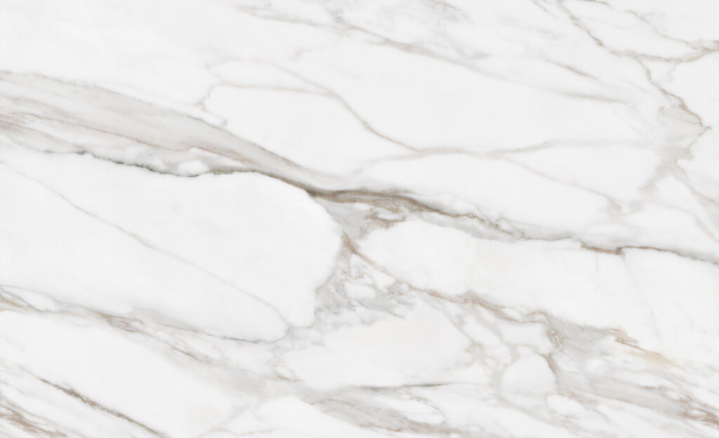Vine gri pe alb — design complet