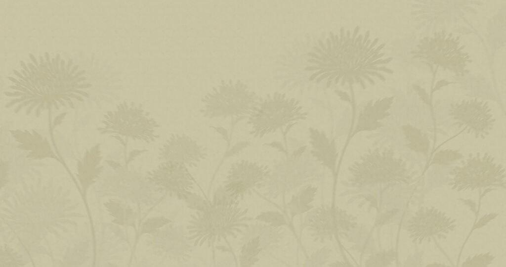Siluete de flori — design complet