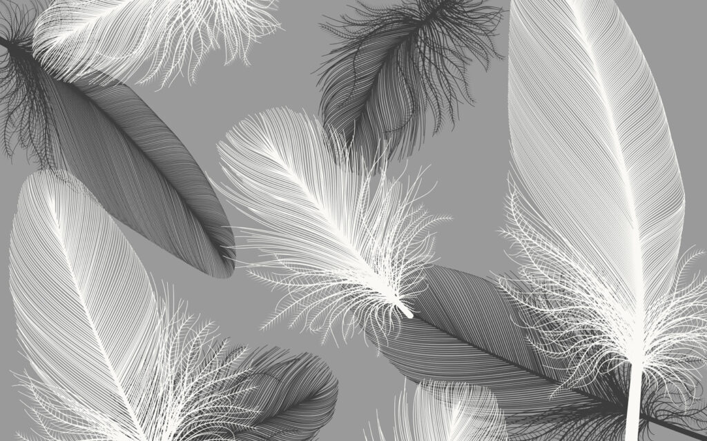 Pene plutitoare pe gri — design complet