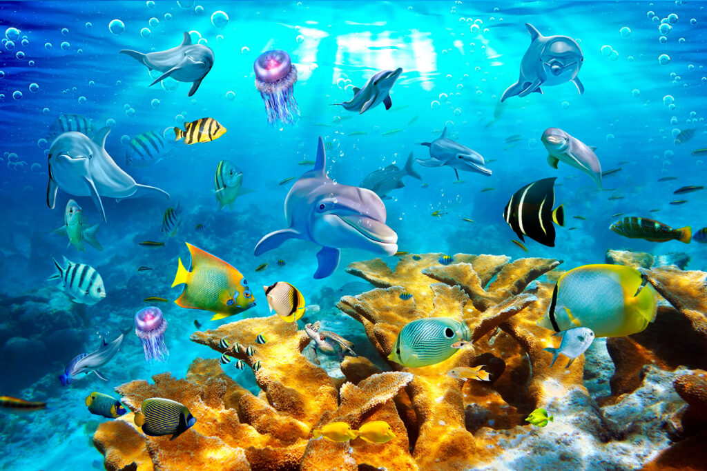 Recif plin de culoare — design complet