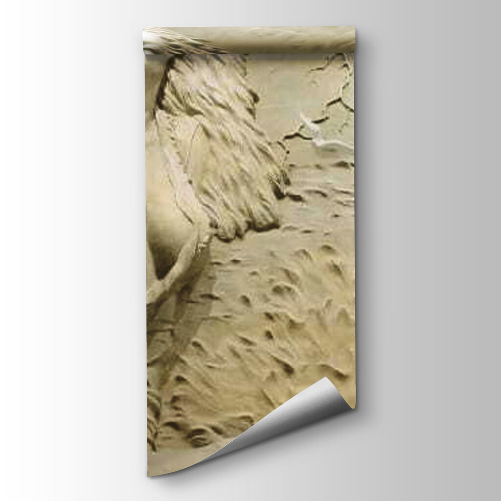 Femeie printre dune — vizualizare produs