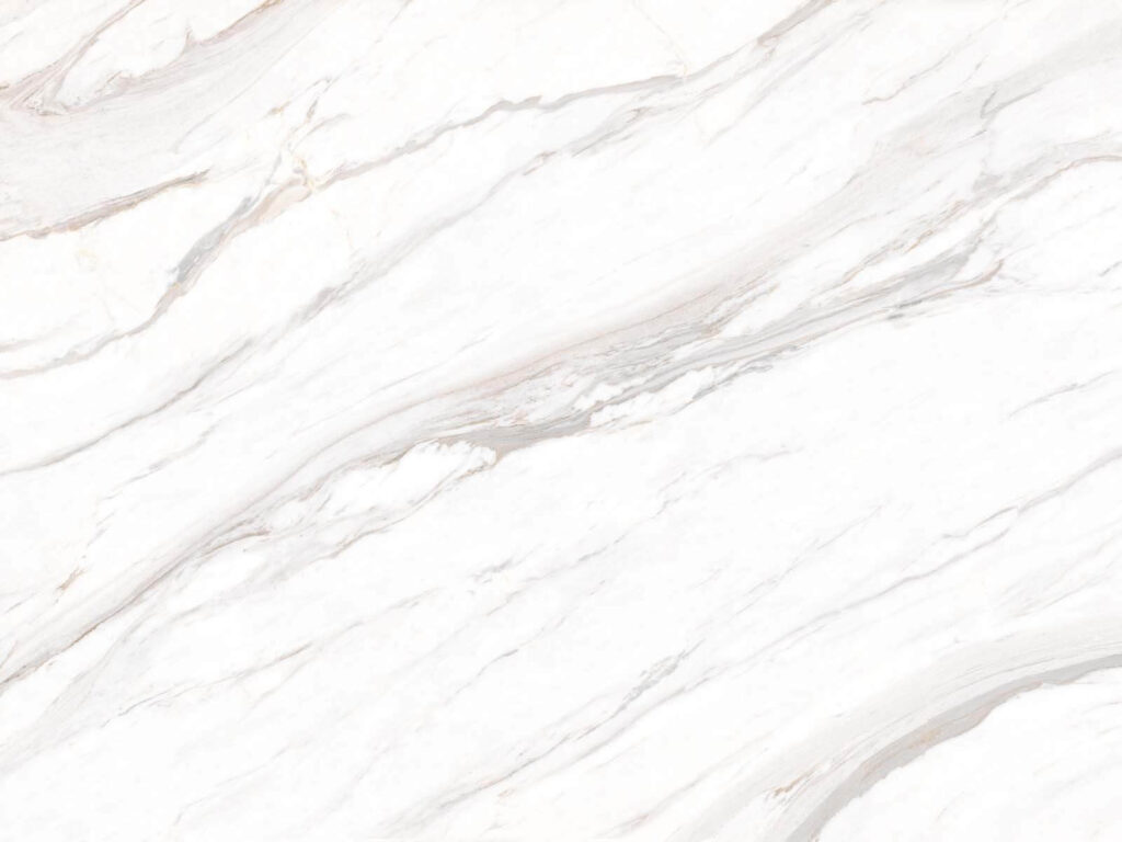 Aderi oblice pe alb — design complet