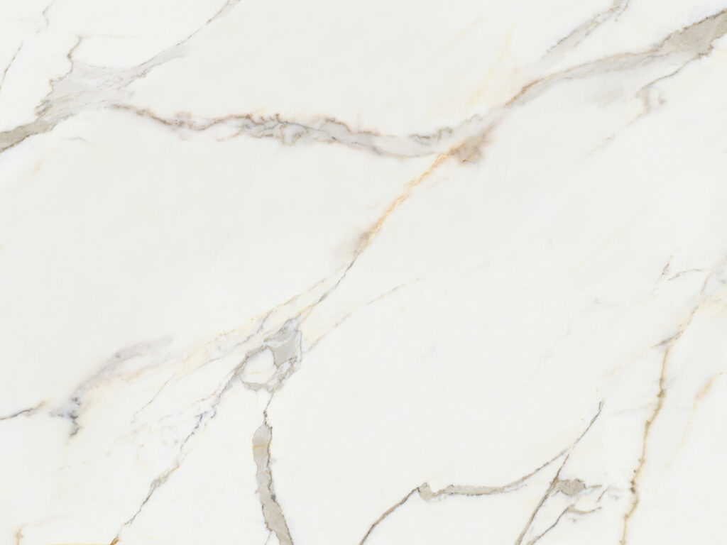 Aderi fine pe alb — design complet