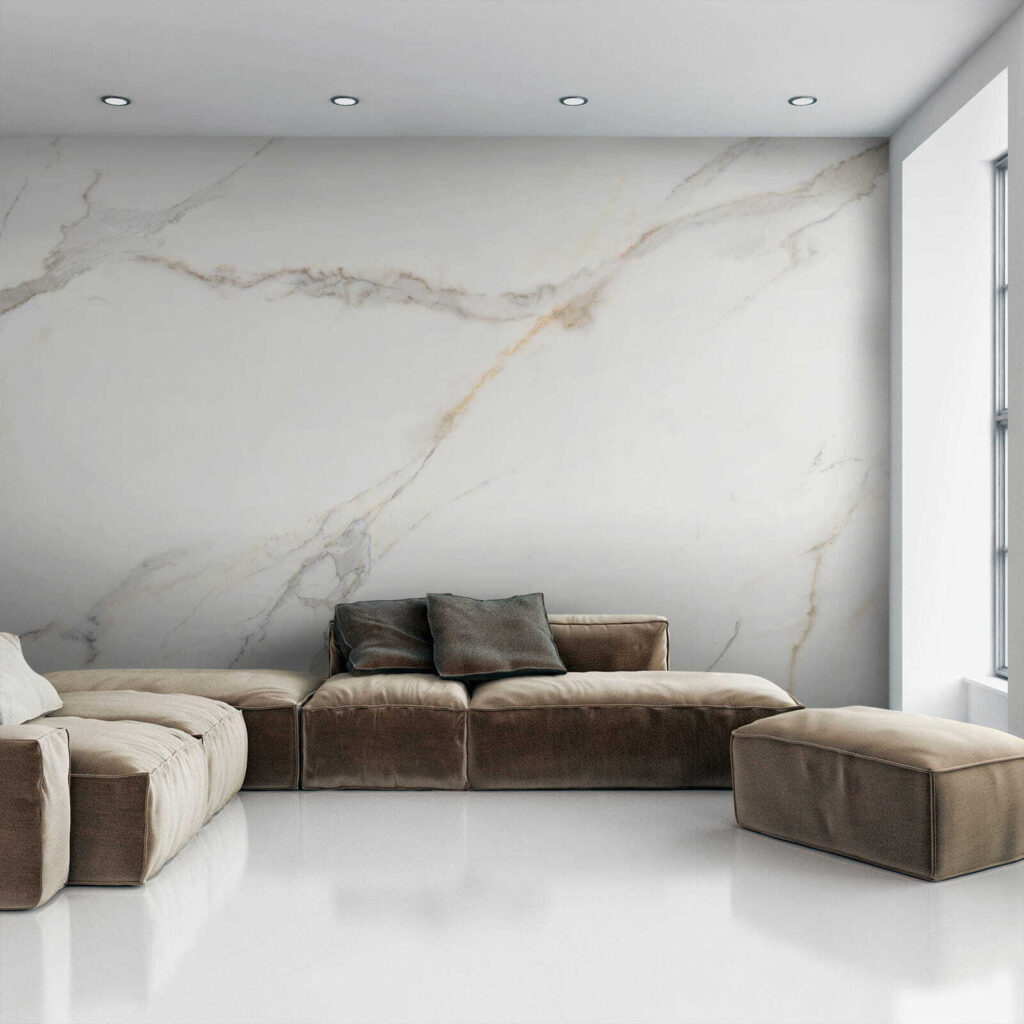 Aderi fine pe alb — interior 4