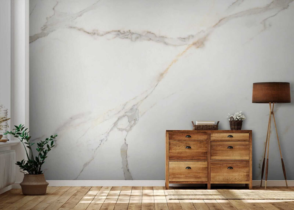 Aderi fine pe alb — interior 5