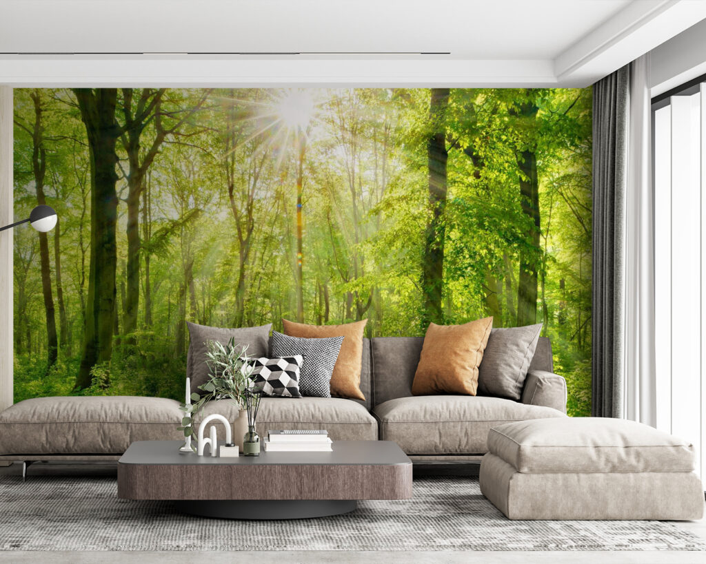 Soare pe potecă — interior 4