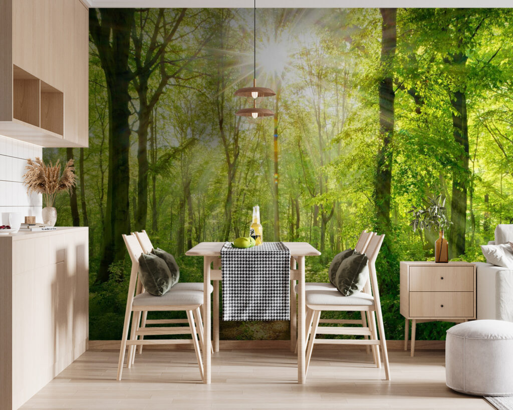 Soare pe potecă — interior 5