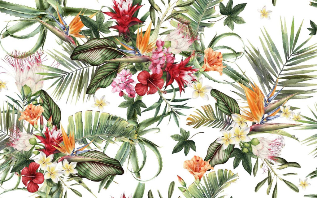 Grădină tropicală pe alb — design complet