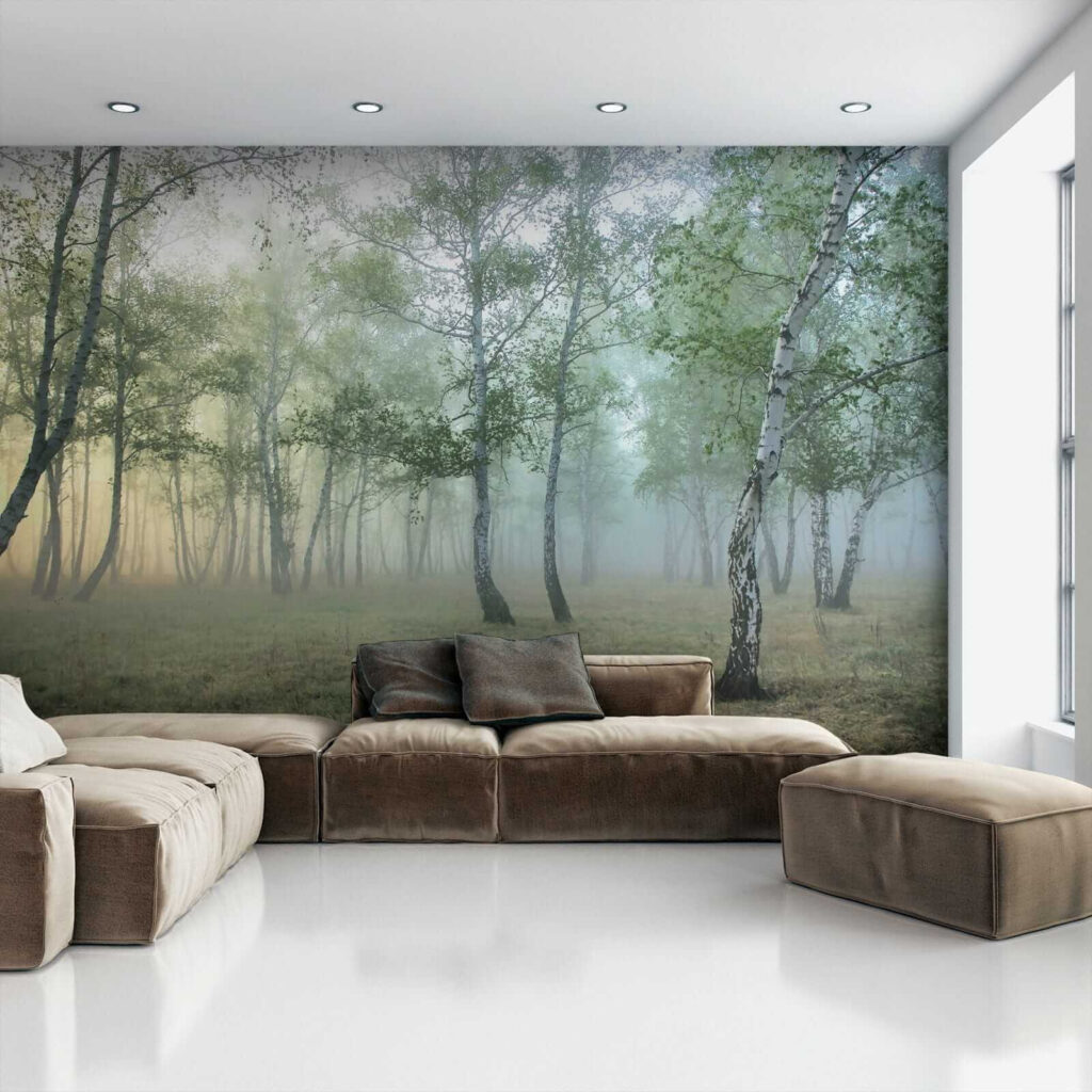 Poiană în lumină caldă — interior 5