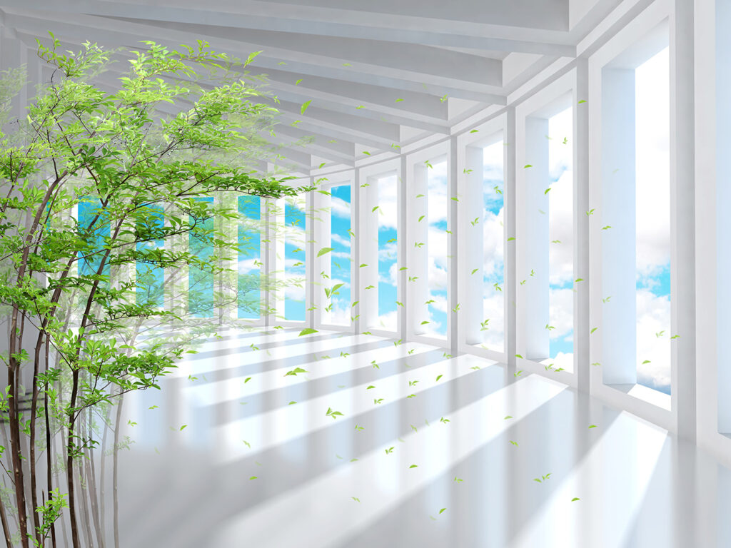 Plante verzi în coridor — design complet