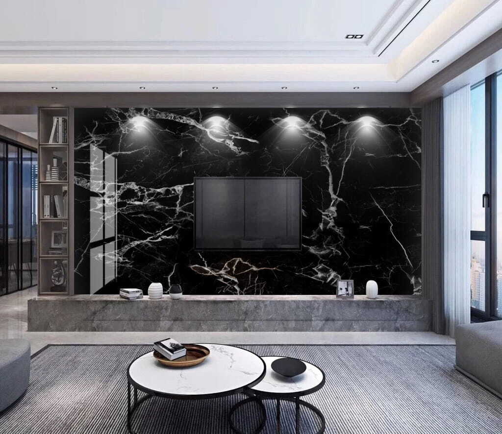 Vene albe pe negru — interior 1