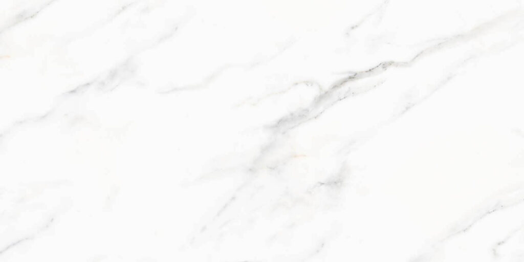Vene palide pe alb — design complet