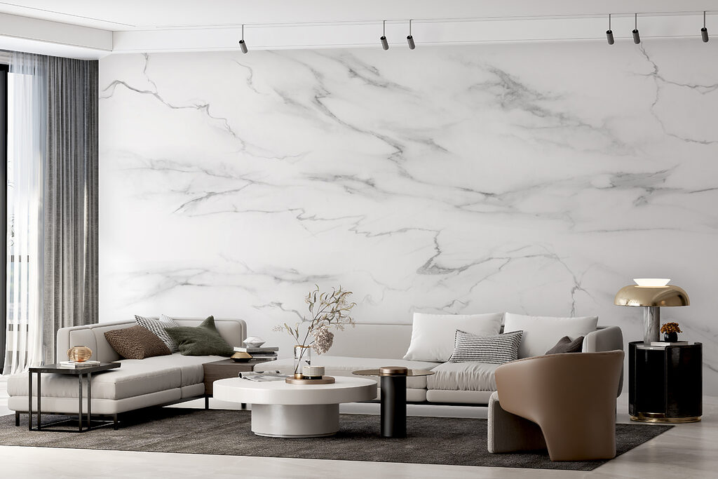 Rețea de vene fine — interior 11