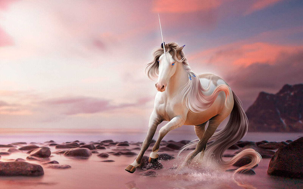 Unicorn pe țărm — design complet