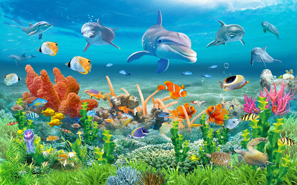 Delfini deasupra recifului — design complet