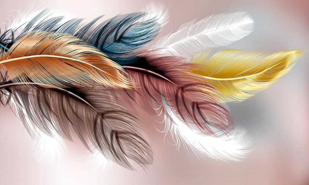Pene colorate pe roz — design complet
