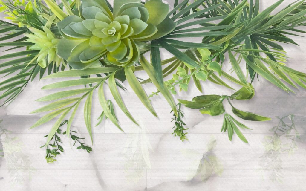 Plante grase suspendate — design complet