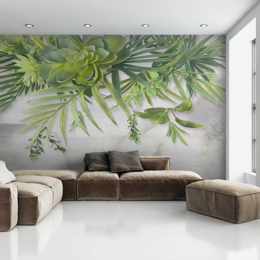 Plante grase suspendate — interior 8