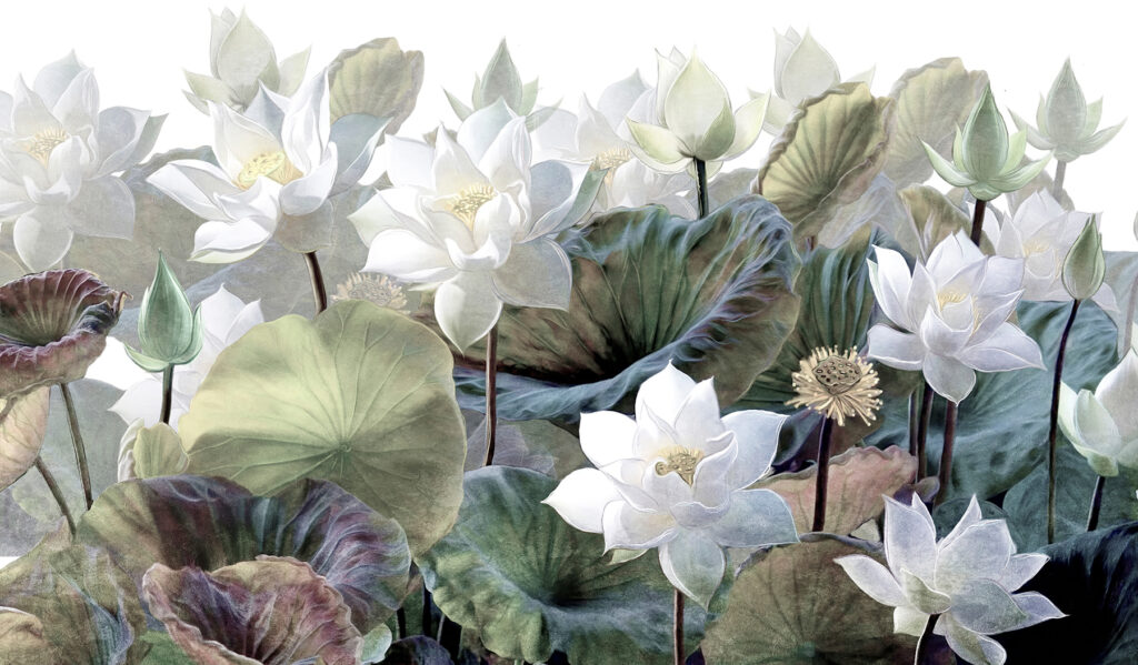 Lotus alb printre frunze — design complet