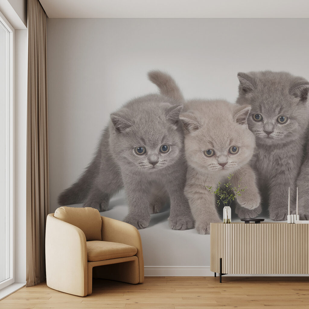 Patru pisoi curioși — interior 3
